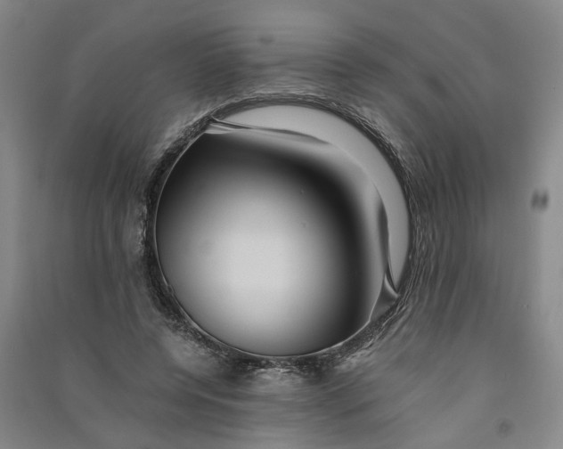 X0000090860544200708171607
