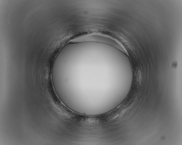 X0000090860546200708171607