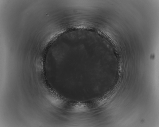 X0000090860547200708171607