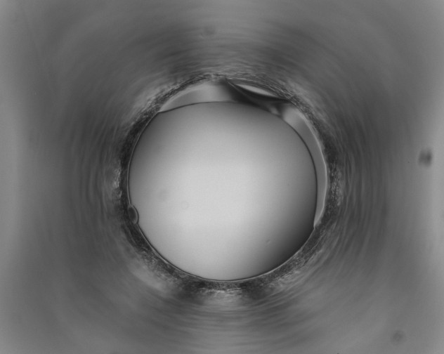 X0000090860548200708171607