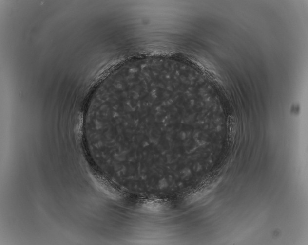 X0000090860550200708171607