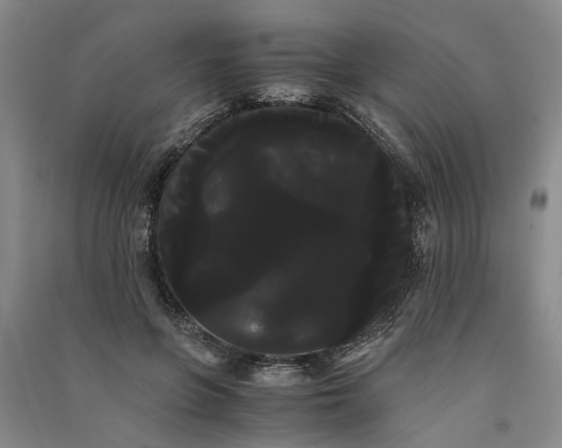 X0000090860551200708171607