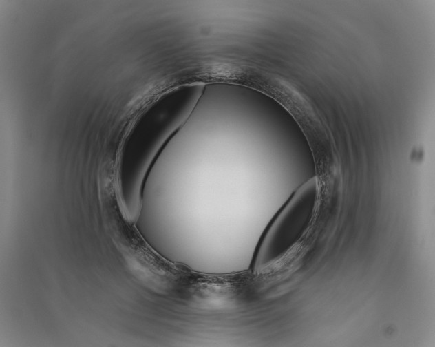 X0000090860552200708171607