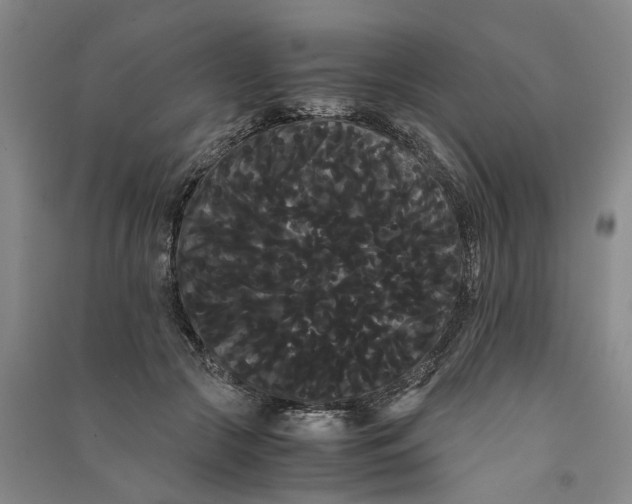 X0000090860553200708171607