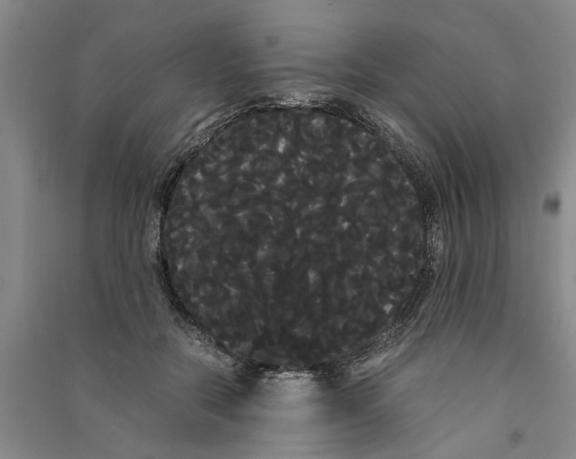 X0000090860554200708171607
