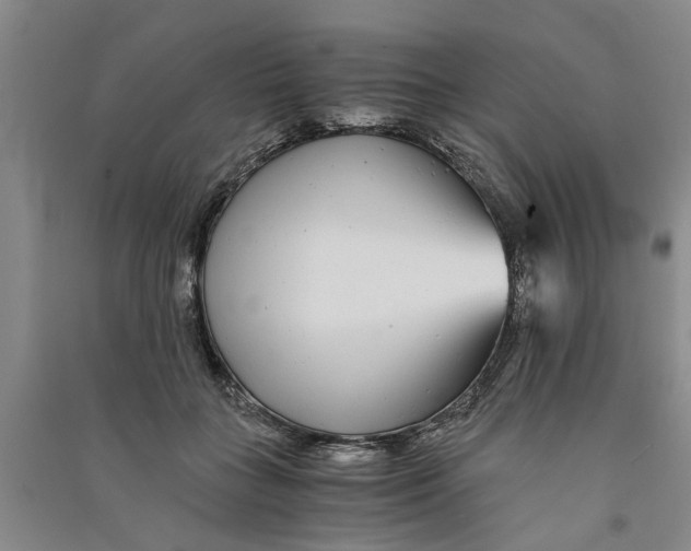 X0000090860555200708171607