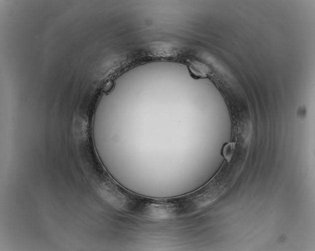 X0000090860556200708171607