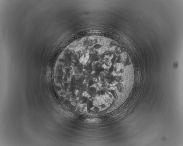 X0000090860557200708171607