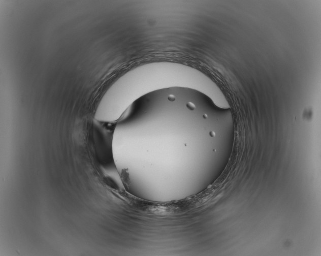 X0000090860558200708171607