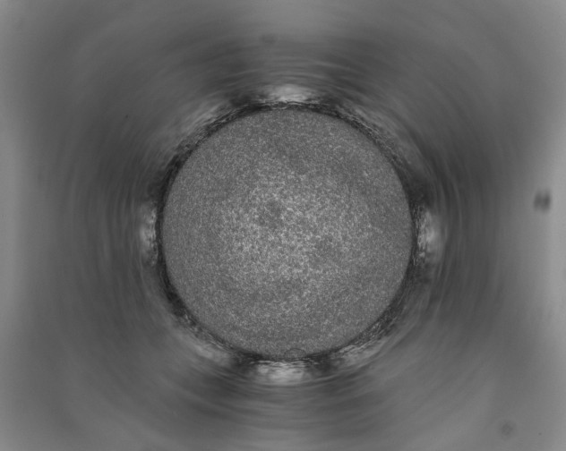 X0000090860559200708171607