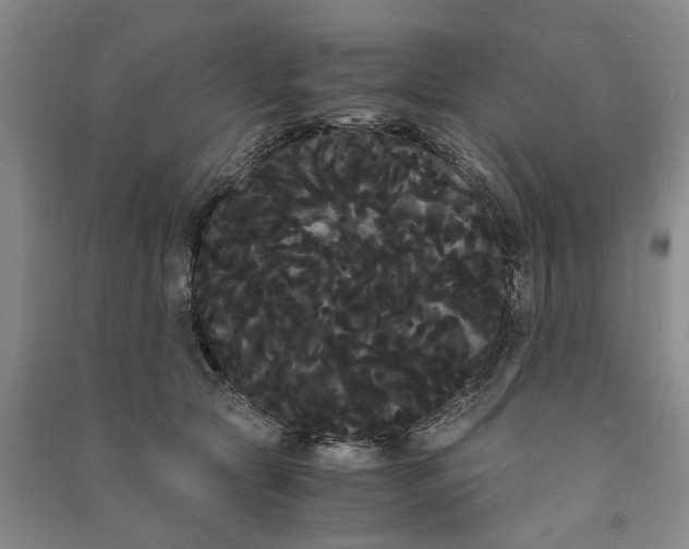 X0000090860561200708171607