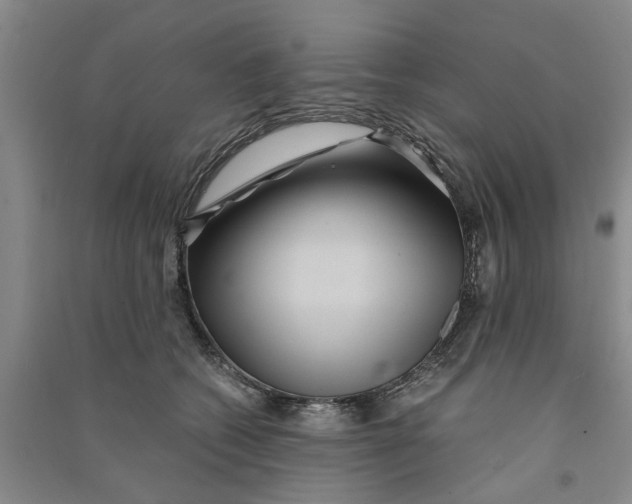 X0000090860562200708171607