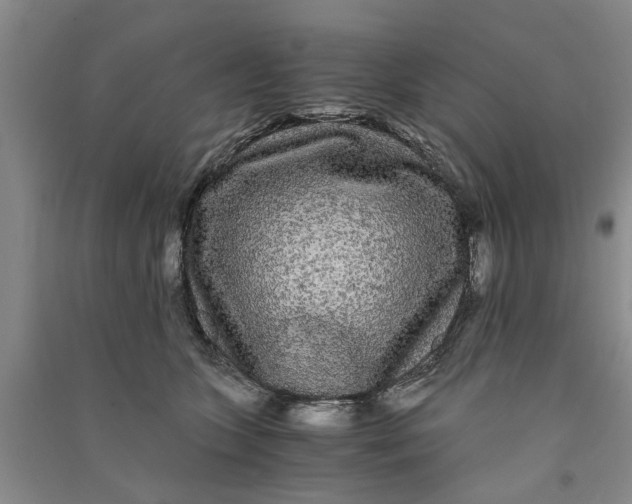 X0000090860563200708171607