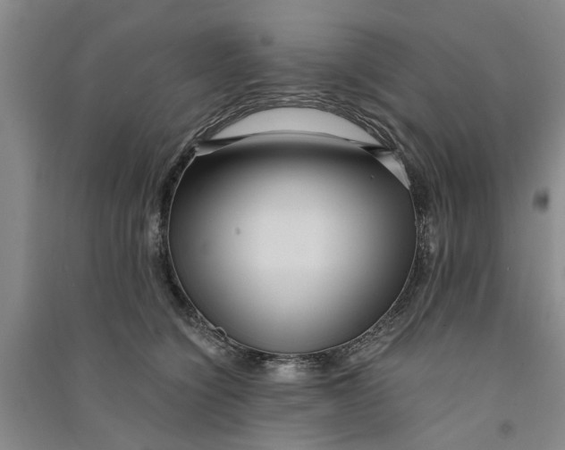 X0000090860564200708171607