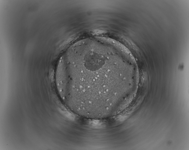 X0000090860565200708171607