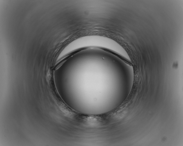 X0000090860566200708171607