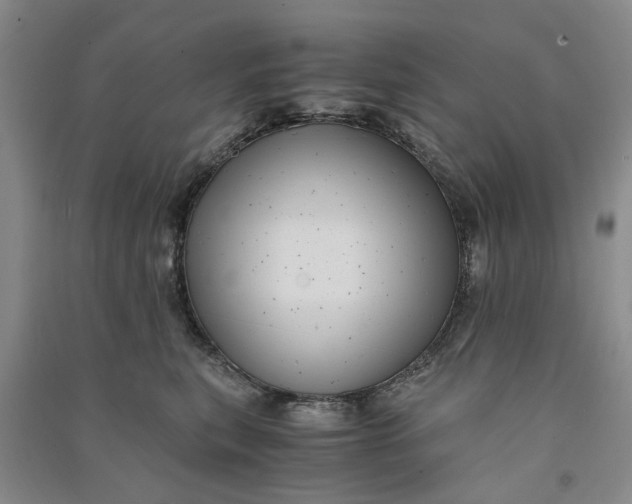 X0000090860567200708171607