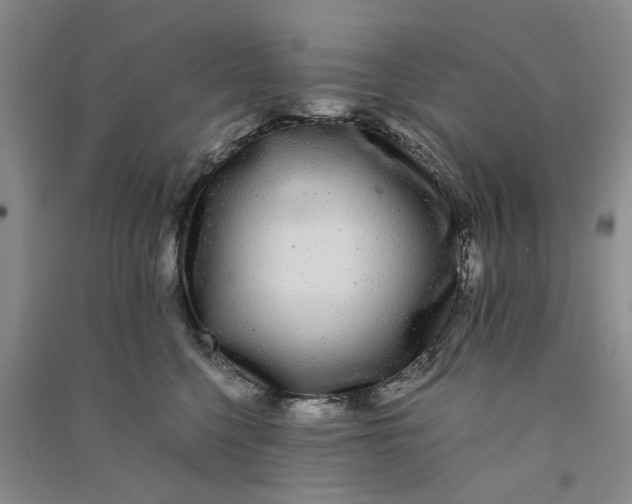 X0000090860568200708171607