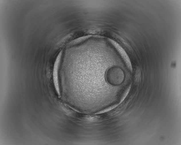X0000090860569200708171607