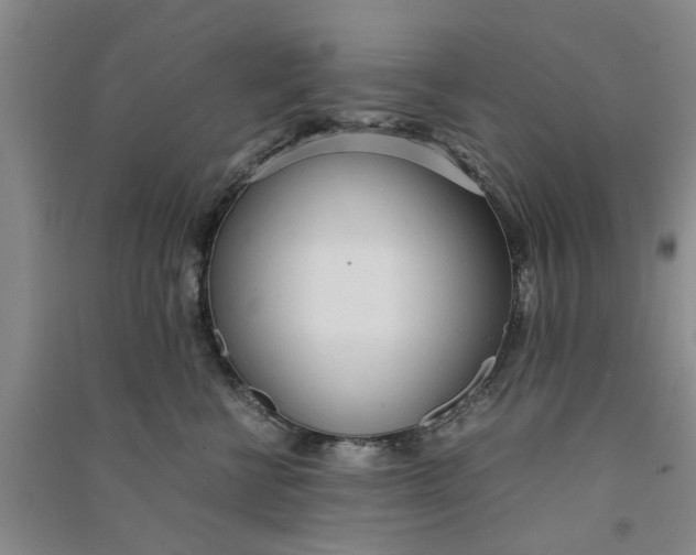 X0000090860570200708171607