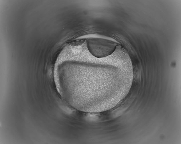X0000090860573200708171607