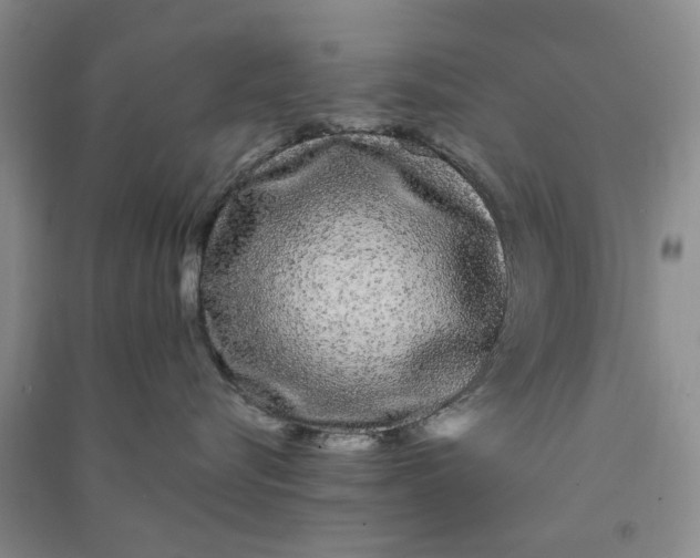 X0000090860576200708171607