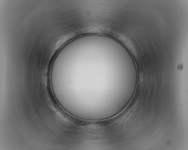 X0000090860578200708171607