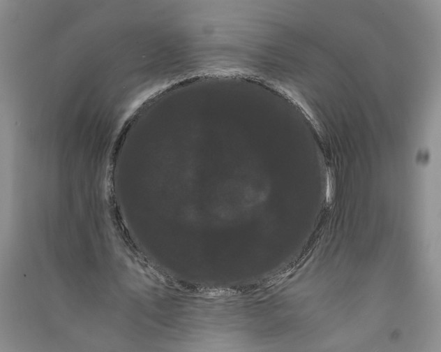 X0000090860579200708171607