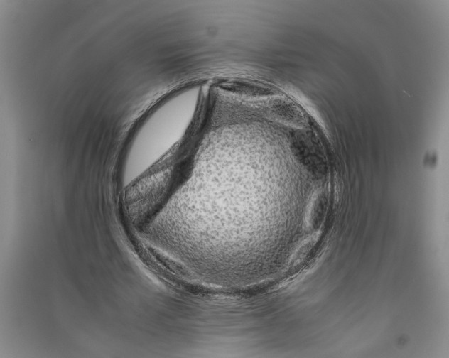 X0000090860581200708171607