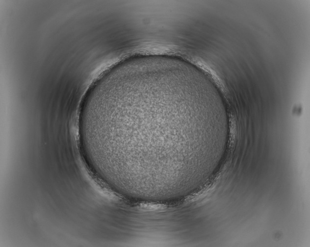 X0000090860582200708171607