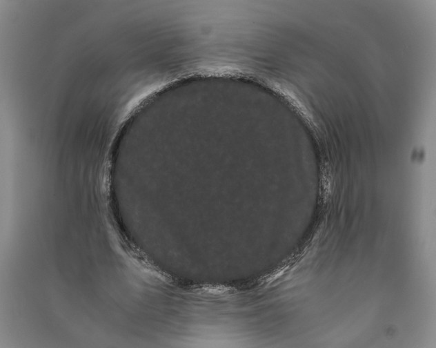X0000090860583200708171607