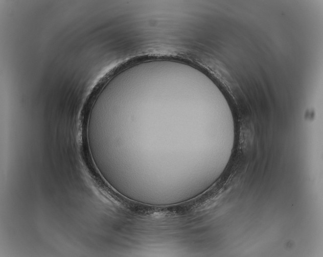 X0000090860584200708171607