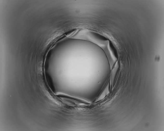 X0000090860585200708171607
