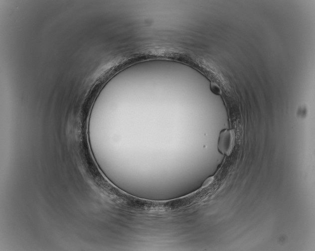 X0000090860587200708171607
