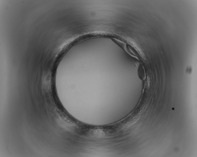 X0000090860588200708171607