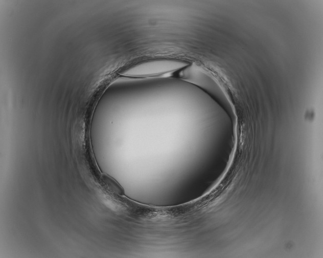X0000090860589200708171607