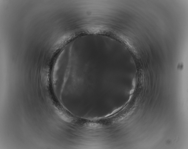 X0000090860590200708171607