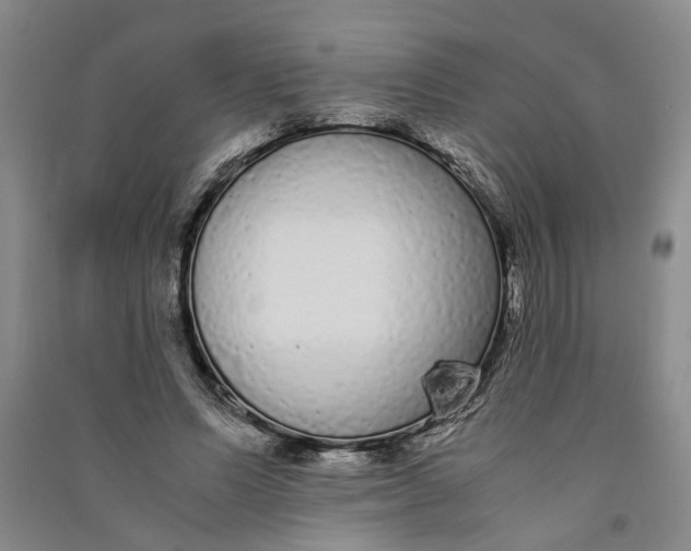 X0000090860591200708171607