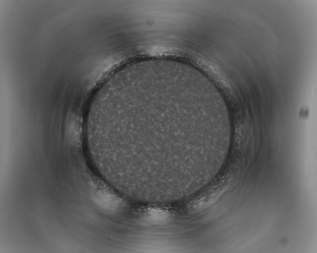 X0000090860592200708171607