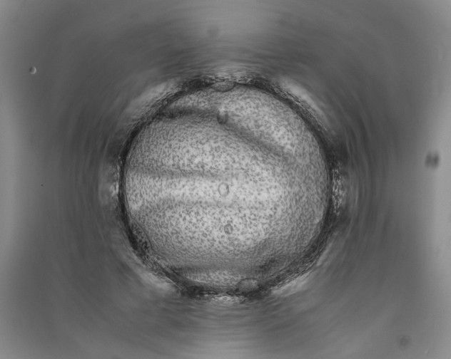 X0000090860593200708171607
