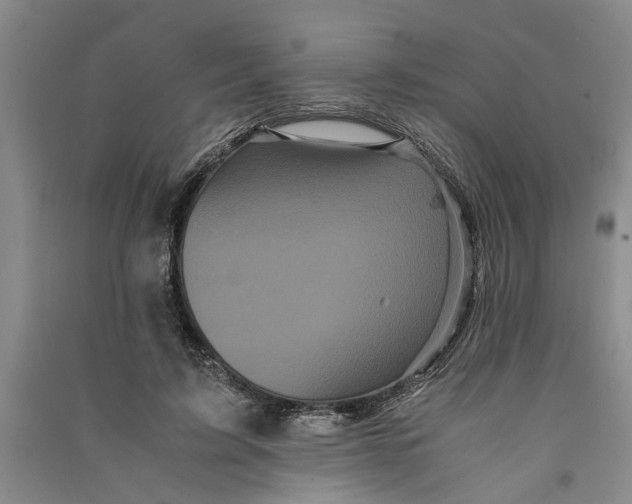 X0000090860595200708171607
