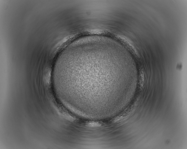 X0000090860596200708171607
