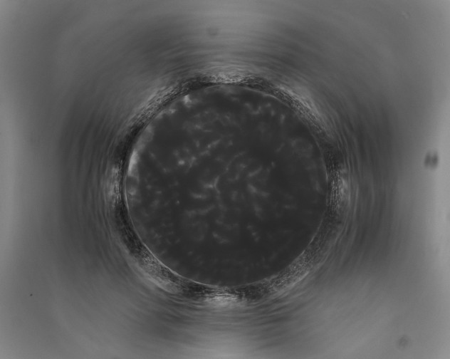 X0000090860598200708171606
