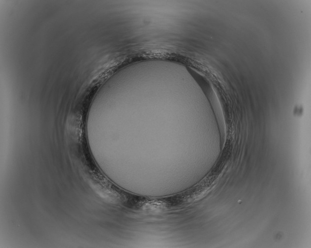 X0000090860599200708171606