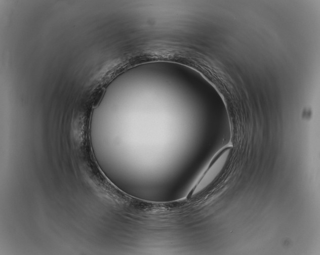 X0000090860600200708171606