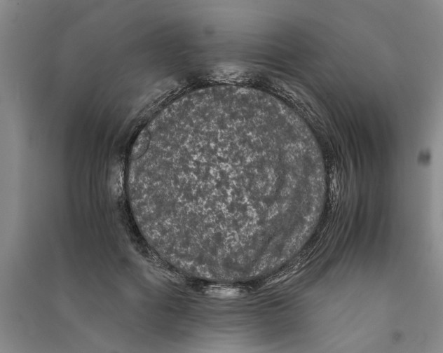 X0000090860602200708171606