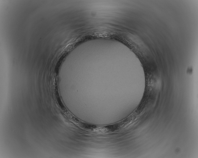 X0000090860603200708171606