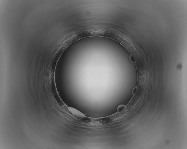 X0000090860604200708171606