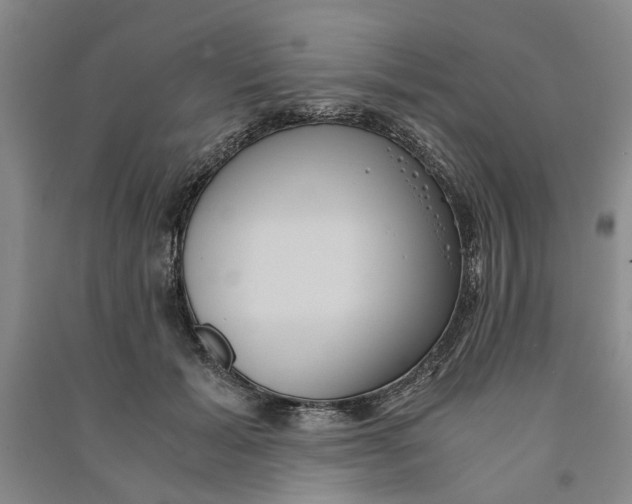 X0000090860605200708171606