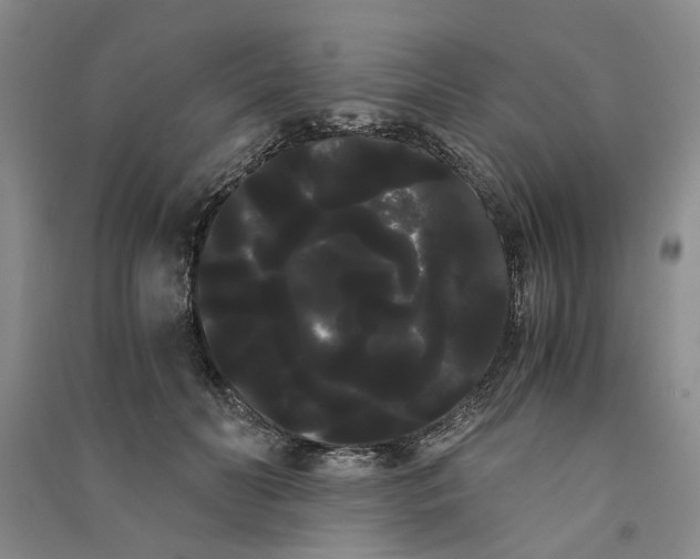 X0000090860606200708171606